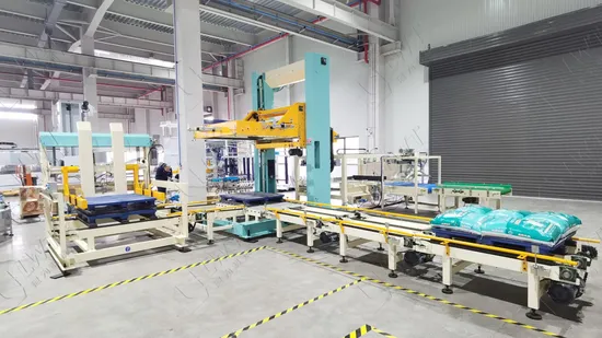 Custom Automatic Packing Machinery Bag Carton Box Palletizer
